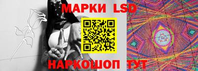 меф Гатчина