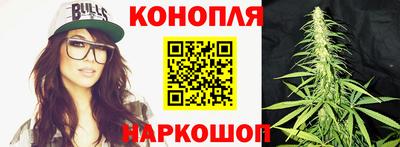 дурь Гай