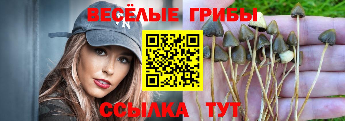 Псилоцибиновые грибы мухоморы Михайловка